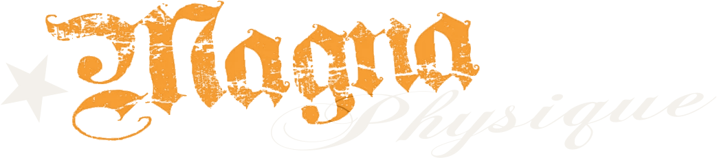 Magna Physique